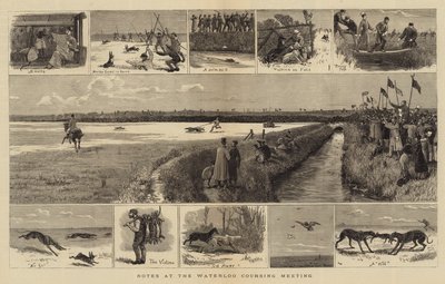 Notes at the Waterloo Coursing Meeting by John Charles Dollman